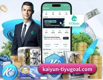 开云入口 APP